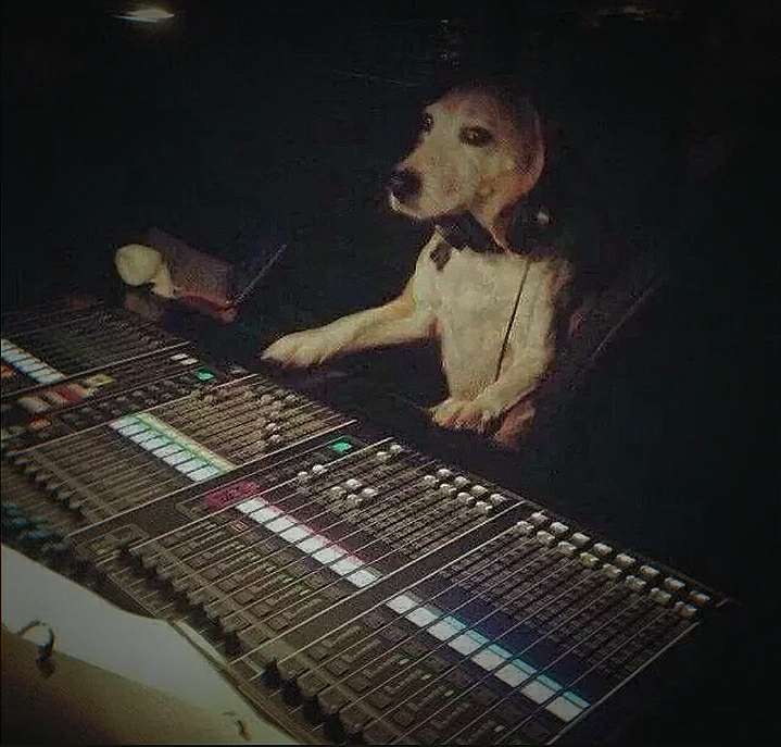 >擅长x32 m32 专业调音师 现场扩声 smaart声学测量